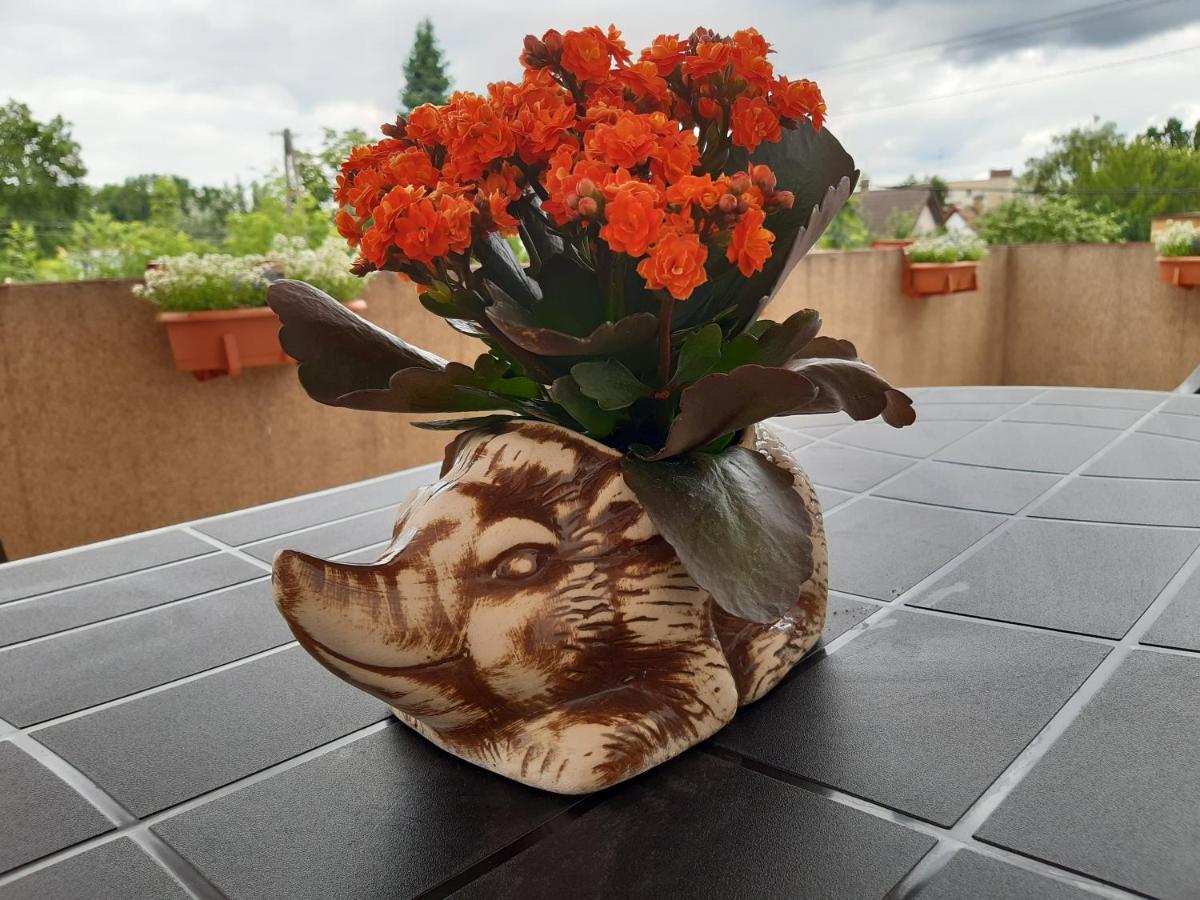 Del Mi Dom Apartment Бялисток Екстериор снимка
